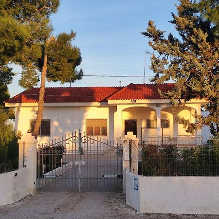 B&B Villa Vittorio Galatone Εξωτερικό φωτογραφία