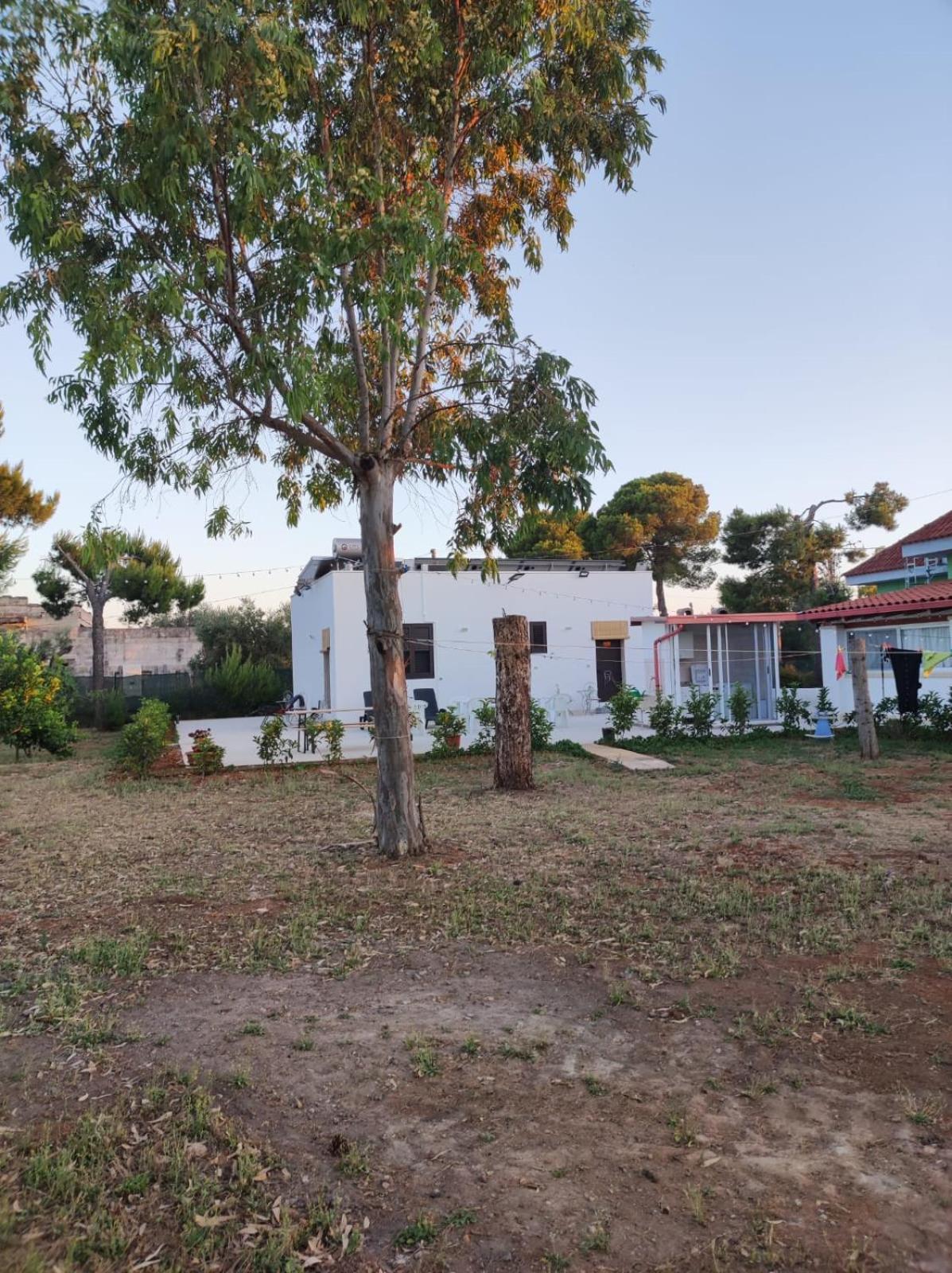 B&B Villa Vittorio Galatone Εξωτερικό φωτογραφία